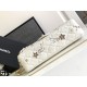 とても取り入れやすい 2024SS ショルダーバッグ CHANEL シャネル とても取り入れやすい 2024SS ショルダーバッグ CHANEL シャネル