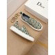 DIOR ディオール リラックスした雰囲気に 2024SS メンズ用 カジュアルシューズ DIOR ディオール リラックスした雰囲気に 2024SS メンズ用 カジュアルシューズ