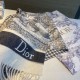 2024FW スカーフ DIOR ディオール 国内完売の入手困難アイテム 2024FW スカーフ DIOR ディオール 国内完売の入手困難アイテム