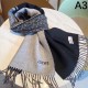 2024FW スカーフ LOEWE ロエベ デイリー使いに実用性抜群 2024FW スカーフ LOEWE ロエベ デイリー使いに実用性抜群
