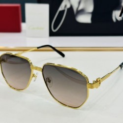 2024FW サングラス CARTIER カルティエ ゆったり感のあるアイテム 