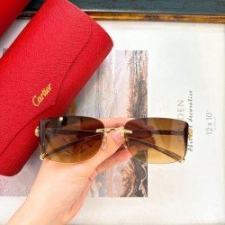 2024FW サングラス CARTIER カルティエ １点限り！VIP顧客セール 