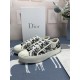 DIOR ディオール 2024FW レディース用 カジュアルシューズ 今季はファション感漂う DIOR ディオール 2024FW レディース用 カジュアルシューズ 今季はファション感漂う