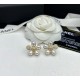 最後の春夏コレクション 2024SS イヤリング CHANEL シャネル 最後の春夏コレクション 2024SS イヤリング CHANEL シャネル