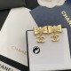 オシャレに見せられます 2024SS イヤリング CHANEL シャネル オシャレに見せられます 2024SS イヤリング CHANEL シャネル