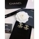 毎シーズン存在感のある 2024SS イヤリング CHANEL シャネル 毎シーズン存在感のある 2024SS イヤリング CHANEL シャネル