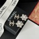 今年の春はこれで決まり 2024SS イヤリング CHANEL シャネル 今年の春はこれで決まり 2024SS イヤリング CHANEL シャネル