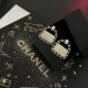 一番注目されている商品 2024SS イヤリング CHANEL シャネル 一番注目されている商品 2024SS イヤリング CHANEL シャネル