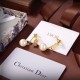 贈るべきのプレゼント 2024SS イヤリング DIOR ディオール 贈るべきのプレゼント 2024SS イヤリング DIOR ディオール