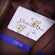 視線を集める今春新作 2024SS イヤリング DIOR ディオール 視線を集める今春新作 2024SS イヤリング DIOR ディオール