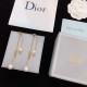 視線を集める今春新作 2024SS イヤリング DIOR ディオール 視線を集める今春新作 2024SS イヤリング DIOR ディオール