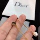 視線を集める今春新作 2024SS イヤリング DIOR ディオール 視線を集める今春新作 2024SS イヤリング DIOR ディオール