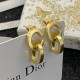 この夏に大満喫できる 2024SS イヤリング DIOR ディオール この夏に大満喫できる 2024SS イヤリング DIOR ディオール