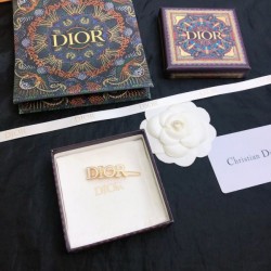さりげないおしゃれを楽しめ 2024SS 髪飾り DIOR ディオール