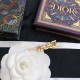 さりげないおしゃれを楽しめ 2024SS 髪飾り DIOR ディオール