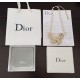 やっぱり欲しい即発送 2024SS ネックレス DIOR ディオール