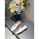 2024SS 夏新品完売間近 CELINE セリーヌ レディース用 カジュアルシューズ 2024SS 夏新品完売間近 CELINE セリーヌ レディース用 カジュアルシューズ