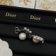 夏季日本未入荷カラー 2024SS イヤリング DIOR ディオール 夏季日本未入荷カラー 2024SS イヤリング DIOR ディオール