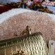 完売必須 2024SS ショルダーバッグ DOLCE&GABBANA ドルチェ&ガッバーナ 完売必須 2024SS ショルダーバッグ DOLCE&GABBANA ドルチェ&ガッバーナ