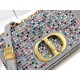 春夏の限定コレクション 2024SS ショルダーバッグ DIOR ディオール