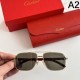CARTIER カルティエ 2024SS サングラス 春夏入荷限定SALE価格 CARTIER カルティエ 2024SS サングラス 春夏入荷限定SALE価格