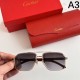 CARTIER カルティエ 2024SS サングラス 春夏入荷限定SALE価格 CARTIER カルティエ 2024SS サングラス 春夏入荷限定SALE価格
