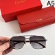 CARTIER カルティエ 2024SS サングラス 春夏入荷限定SALE価格 CARTIER カルティエ 2024SS サングラス 春夏入荷限定SALE価格