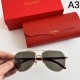 CARTIER カルティエ 2024SS サングラス 夏季日本未入荷カラー CARTIER カルティエ 2024SS サングラス 夏季日本未入荷カラー