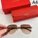 CARTIER カルティエ 2024SS サングラス 夏季日本未入荷カラー CARTIER カルティエ 2024SS サングラス 夏季日本未入荷カラー