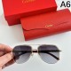 CARTIER カルティエ 2024SS サングラス 夏季日本未入荷カラー CARTIER カルティエ 2024SS サングラス 夏季日本未入荷カラー