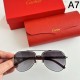 CARTIER カルティエ 2024SS サングラス 夏季日本未入荷カラー CARTIER カルティエ 2024SS サングラス 夏季日本未入荷カラー