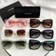 DOLCE＆GABBANA ドルチェ＆ガッバーナ 2024SS サングラス 新価格で登場！