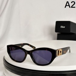 DIOR ディオール 2024SS サングラス 相性が良く断然オススメ