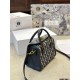 国内完売の入手困難アイテム 2024SS トートバッグ DIOR ディオール 国内完売の入手困難アイテム 2024SS トートバッグ DIOR ディオール