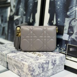 DIOR ディオール 2024SS 春先にはもってこいの色 カードケース