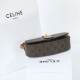 2024SS 春夏の限定コレクション CELINE セリーヌ トートバッグ