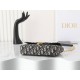 2024SS 夏物新作入手困難 DIOR ディオール ショルダーバッグ 2024SS 夏物新作入手困難 DIOR ディオール ショルダーバッグ
