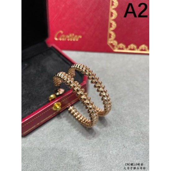 CARTIER カルティエ リラックス感のある 2024SS イヤリング CARTIER カルティエ リラックス感のある 2024SS イヤリング