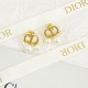 DIOR ディオール 見逃せない今夏新作 2024SS イヤリング DIOR ディオール 見逃せない今夏新作 2024SS イヤリング