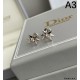 DIOR ディオール 大人の色気を印象に 2024SS イヤリング
