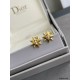 DIOR ディオール 大人の色気を印象に 2024SS イヤリング