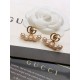 GUCCI グッチ 完売大人気アイテム 2024SS イヤリング GUCCI グッチ 完売大人気アイテム 2024SS イヤリング