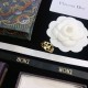 DIOR ディオール 新作限定めっちゃ綺麗色 2024SS リング DIOR ディオール 新作限定めっちゃ綺麗色 2024SS リング