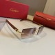CARTIER カルティエ 2024SS サングラス ファション人に必須アイテム