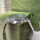 2024SS 使えて可愛いデザイン夏新品 GUCCI グッチ 時計 ウォッチ