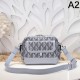 2024FW ショルダーバッグ DIOR ディオール 今期新作人気の美ライン 2024FW ショルダーバッグ DIOR ディオール 今期新作人気の美ライン