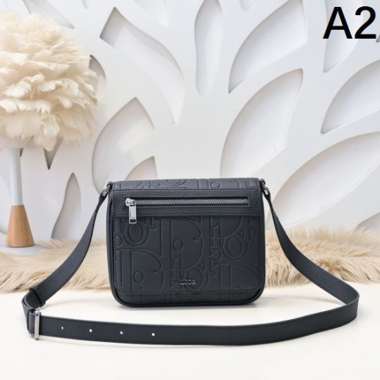 2024FW ショルダーバッグ DIOR ディオール 今年らしい優秀アイテム 2024FW ショルダーバッグ DIOR ディオール 今年らしい優秀アイテム