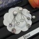 2025SS DIOR ディオール 大人買い必須なこの春夏 イヤリング 2025SS DIOR ディオール 大人買い必須なこの春夏 イヤリング