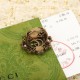 2025SS GUCCI グッチ 国内完売の入手困難アイテム リング 2025SS GUCCI グッチ 国内完売の入手困難アイテム リング