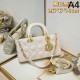 2025SS トートバッグ DIOR ディオール 可愛い完売確実 大人気 2025SS トートバッグ DIOR ディオール 可愛い完売確実 大人気
